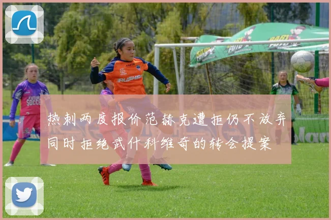 热刺两度报价范赫克遭拒仍不放弃同时拒绝武什科维奇的转会提案