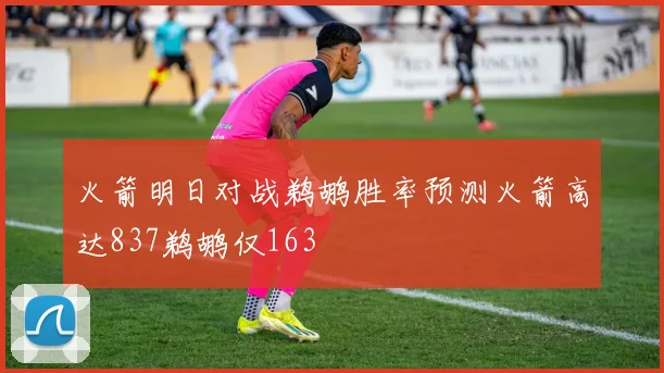火箭明日对战鹈鹕胜率预测火箭高达837鹈鹕仅163